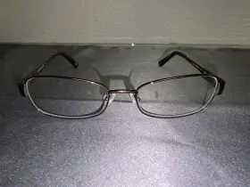 Ak5000 Anne Klein Metal Glasses Frames Only Lion With Tiger Stripe Details