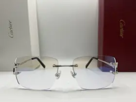 Ct0092o Cartier 002 Silver Rimless Clear Metal Eyeglass