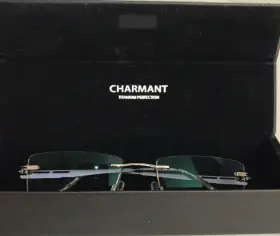 Ch11904 Charmant Eyeglasses Gr Titanium Gray Rimless Frame 53 19 135 With Case