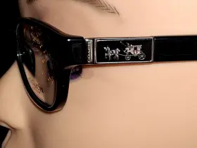Coach 521513530130 182-new Horse Carriage Logo Designer Womens Eyewear Black/silver/ Tan