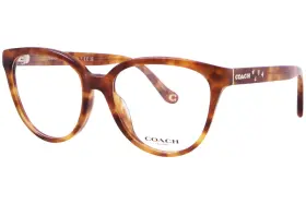 Hc6234u Coach 5774 Eyeglasses Womens Caramel Tortoise Full Rim 53mm Hc6234u Coach 5774 Eyeglasses Womens Caramel Tortoise Full Rim 53mm