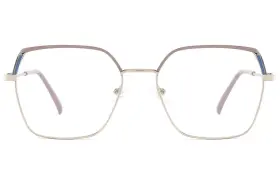 Dm0211-c Dilly Dollar Vf0290 Noah Unisex Geometric Optical Frames Metal Glasses Cp Arms Spring Hinges