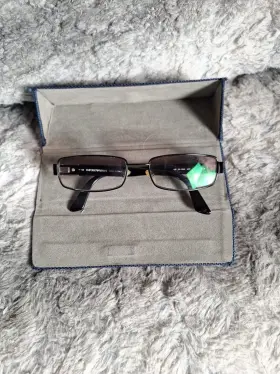 9556 Emporio Armani Frames Only
