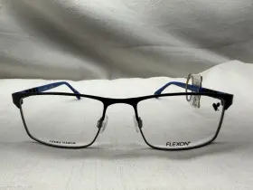 E1137 Flexon Eyeglasses