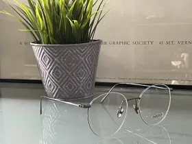 Lf34c4 Linda Farrow Foster Oval Optical Frame In Nickel