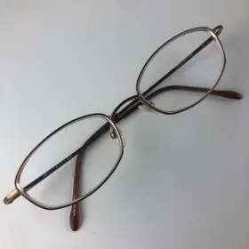 Lw101 Lizwear Eyeglasses Frames Fl6 Metallic Brown 130