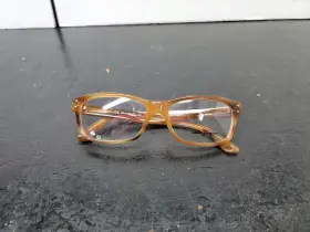 Sf2646 Salvatore Ferragamo Frames 55-17 260 145 Only Display