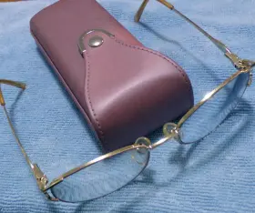 M48-306 Sophia Loren Zyloware Eyeglasses Frame M48 306 Womens Gold Full Rim With Case