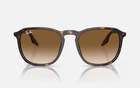 Ray-ban Sunglasses RB2203 902/51 52MM Tortoise Havana/light Brown Lens New. Price: $99.00.
