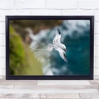 Amazing Animal Aviary Awesome Back Beak Belly Bill Bird Wall Art Print New. Price: $35.00.