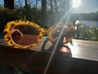 Christian Dior Vintage Sunglasses Eyeglasses Frames Women's Euc Rx 1970S Pre-owned. Price: $49.99.