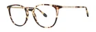 Lilly Pulitzer Reese Tortoise Authentic New 49MM Women. Price: $171.00.