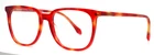 Germano Gambini GG65 Col. Tr Tortoise Red Womens Square Eyeglasses 51-17-140 New. Price: $84.99.