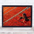 Red Peppers Woman Farming Wall Art Print New. Price: $53.37.
