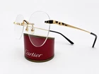 New! Authentic Cartier CT0309O Eyeglasses. Price: $790.00.