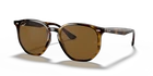 Ray-ban RB4306 Light Havana/brown Polarized Mm Sunglasses 710/83 54-19 New. Price: $143.99.