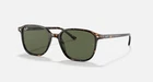 Ray-ban Leonard Polished TORTOISE/G-15 Green 53MM Sunglasses RB2193 902/31 53-18 New. Price: $127.99.