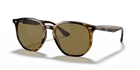 Ray-ban RB4306 Polished Light HAVANA/B-15 Brown 54MM Sunglasses 710/73 New. Price: $118.99.