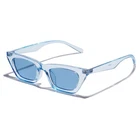 Vanlinker Skinny Cat Eye Sunglasses Women Clear Blue Frame New. Price: $12.90.