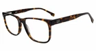 Gap VGP827 0HAV Havana Authentic New 56MM Unisex. Price: $126.98.